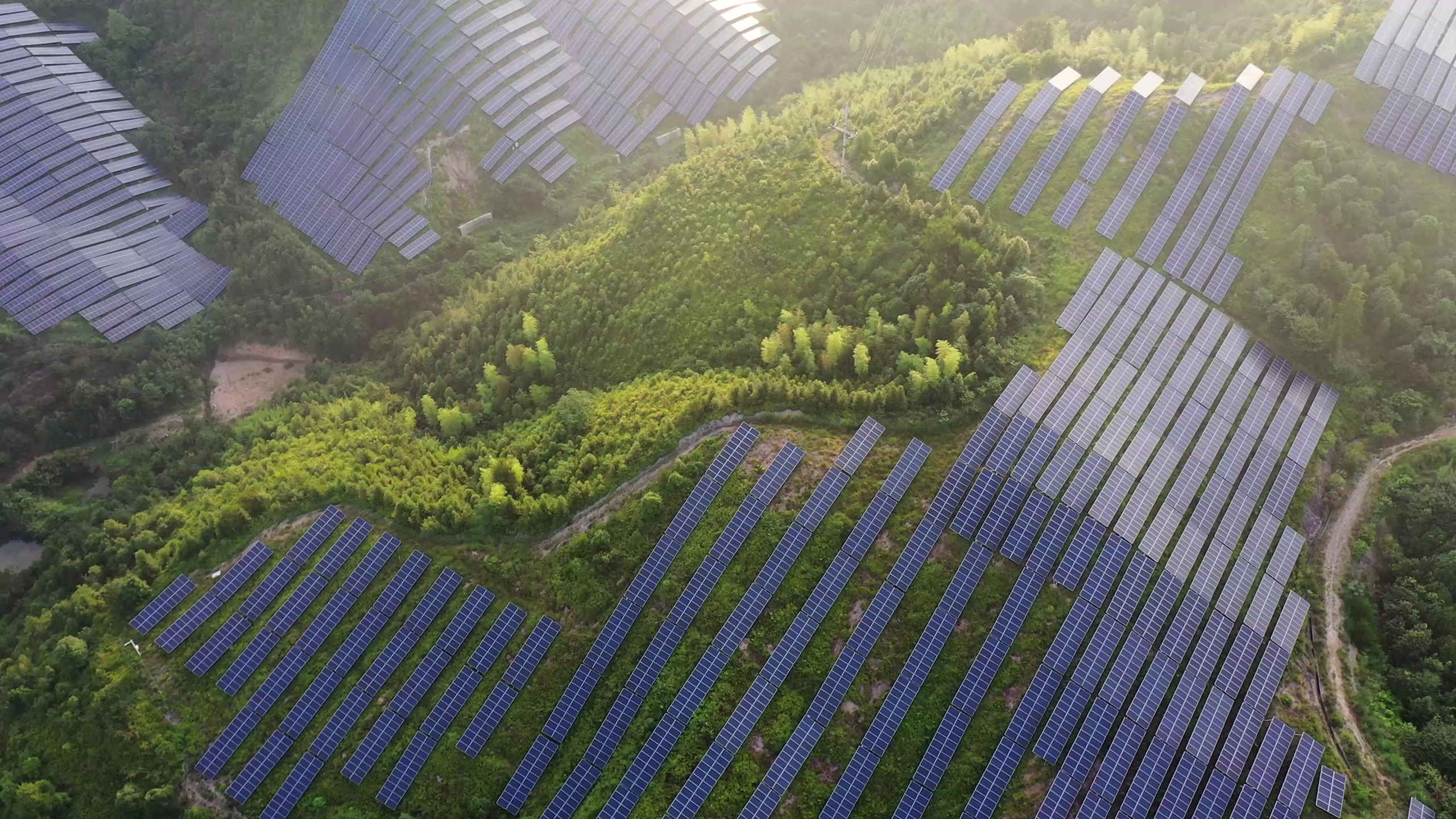 Aerial view of solar energy infrastructure among woodland